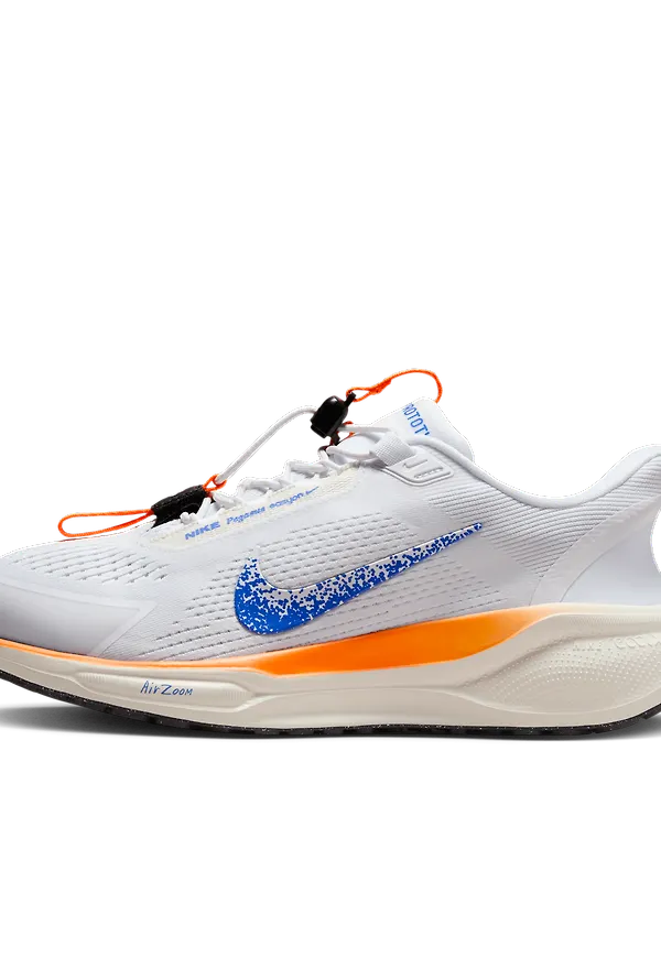 Nike Pegasus EasyOn Blueprint