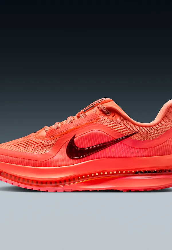 Nike Pegasus Premium