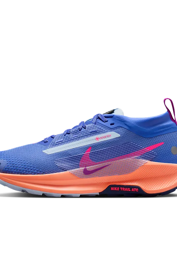 Nike Pegasus Trail 5 GORE-TEX