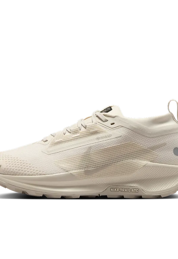 Nike Pegasus Trail 5 GORE-TEX