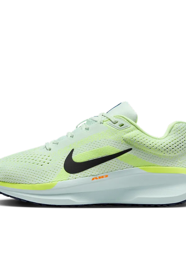 Nike Winflo 11