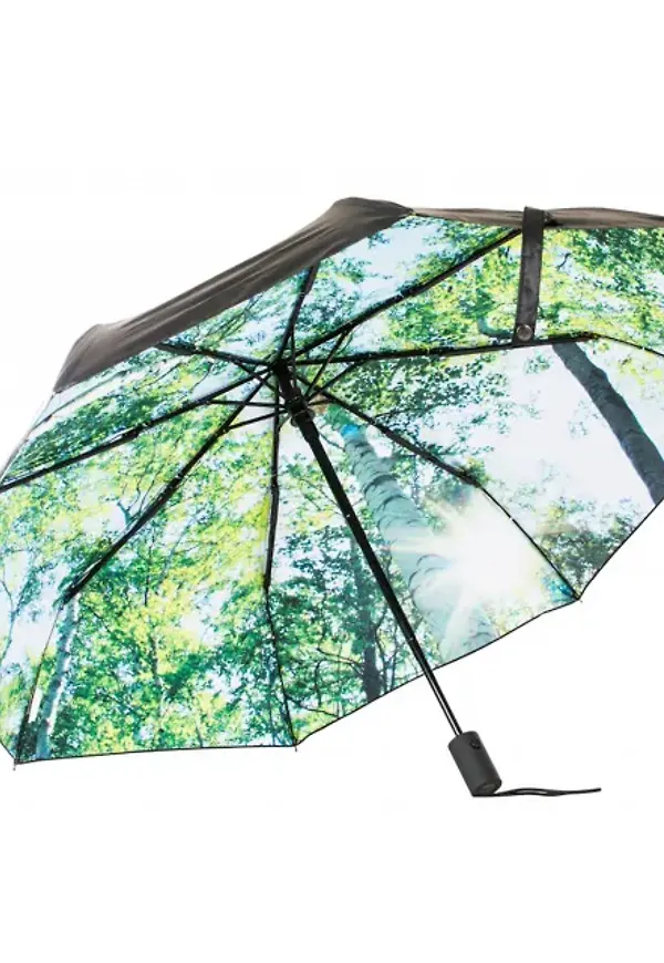Paraply Skog