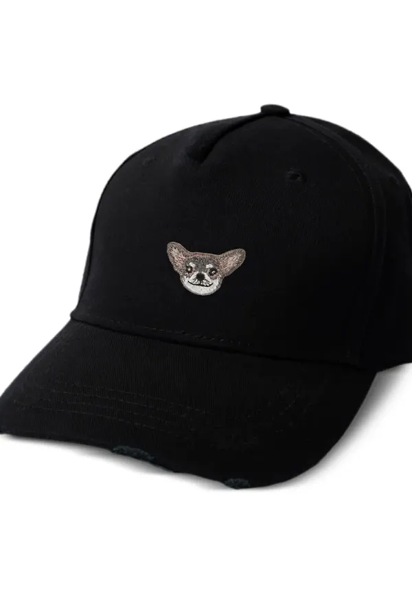 PELO FOUNDATION Chihuahua keps - Svart