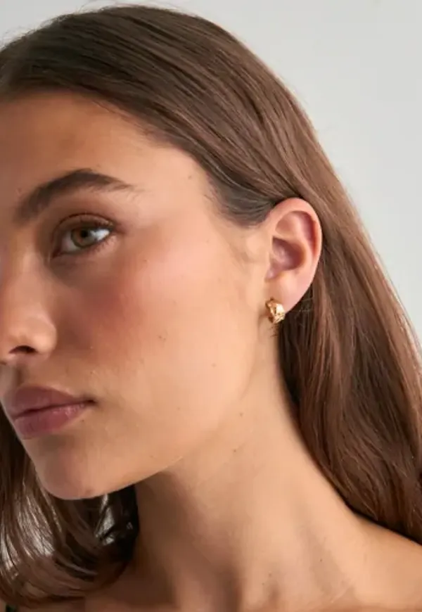 Pilgrim - Guld - INSTANT earrings
