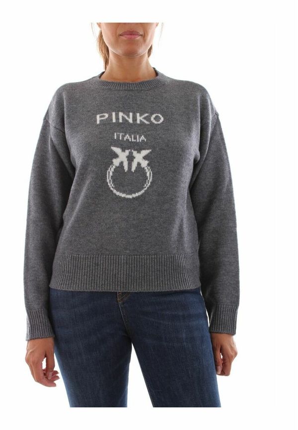 Pinko Sweatshirt Burgos 1-I42 Grå, Dam