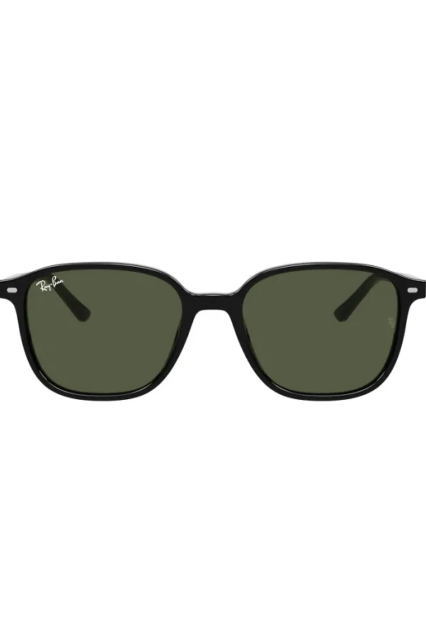 Ray-Ban Leonard Polarized Svart, Dam