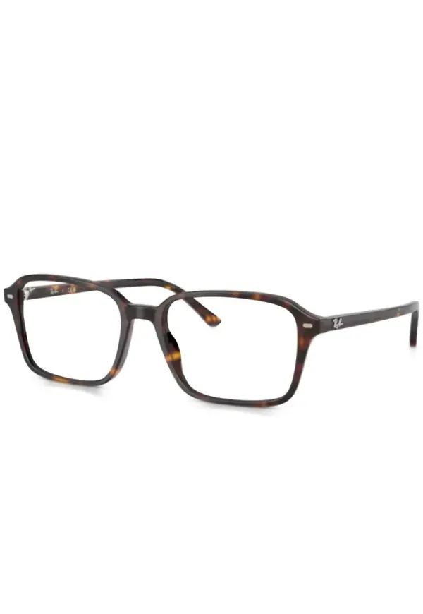Ray-Ban Raimond glasögon - Brun