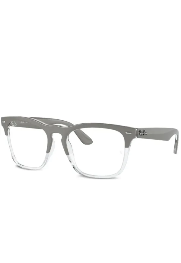 Ray-Ban Steve glasögon - Grå
