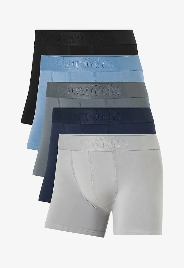 Resteröds - Boxer Bamboo 5-pack Regular Leg - Flerfärgad