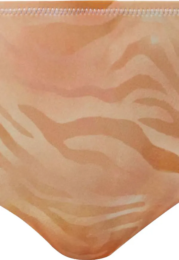 Röhnisch Women's Asrin Bikini Briefs Zebra Fade