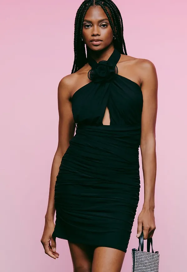 Rose mesh dress