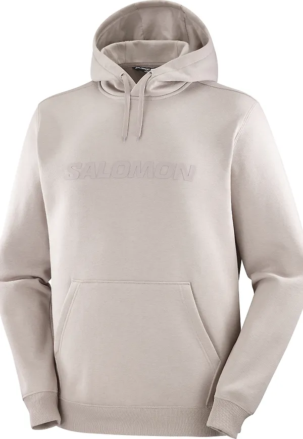 Salomon Men's Big Logo Etherea