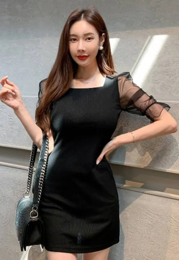 Shein Contrast Mesh Square Neck Dress