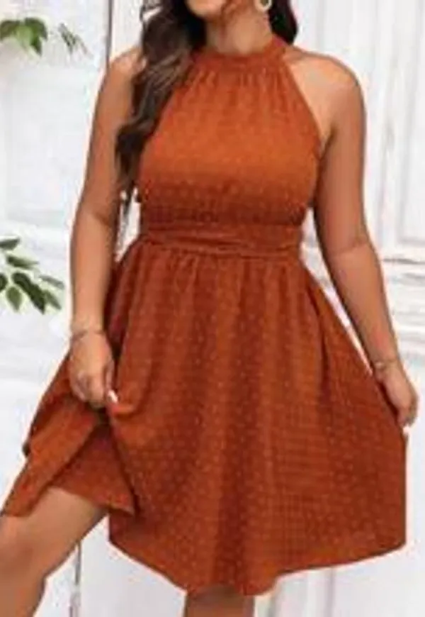 Shein Plus Swiss Dot Halter Neck Dress