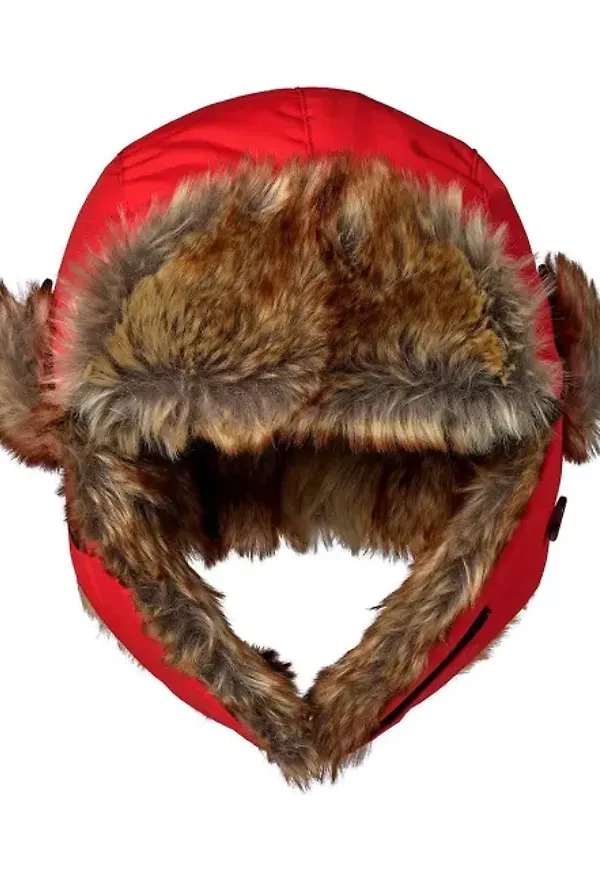 Squirrel Vintermössa