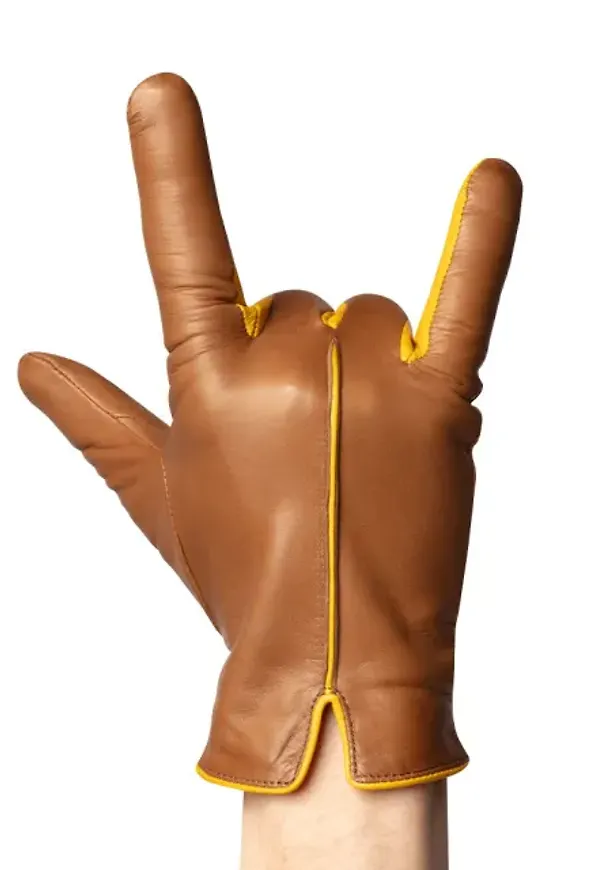 Statement Camel