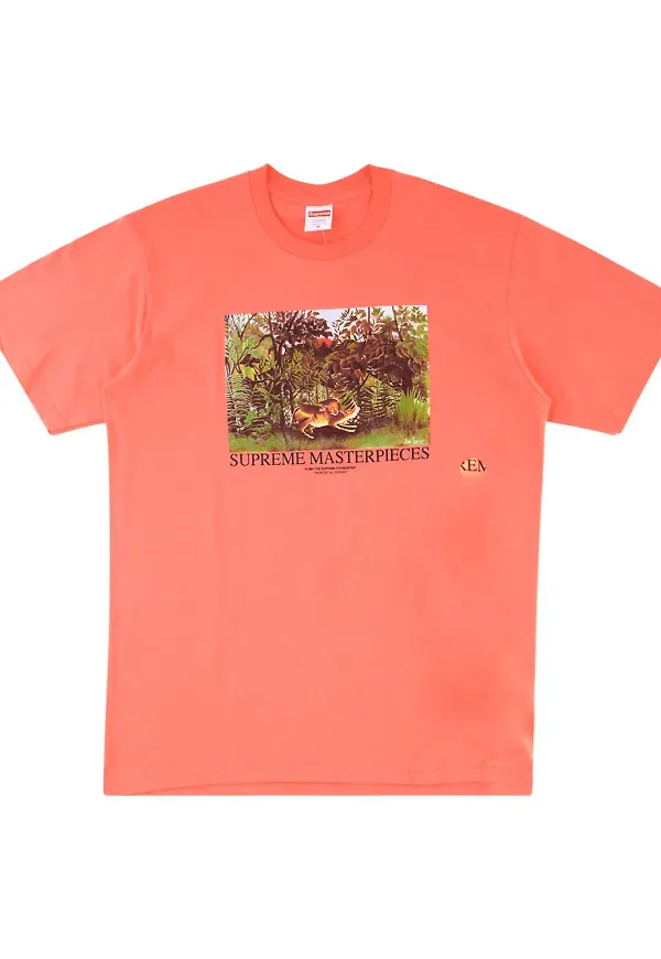 Supreme Masterpieces t-shirt - Orange