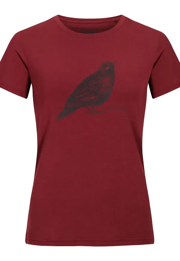 Tafjord Bamboo Tee Women's
