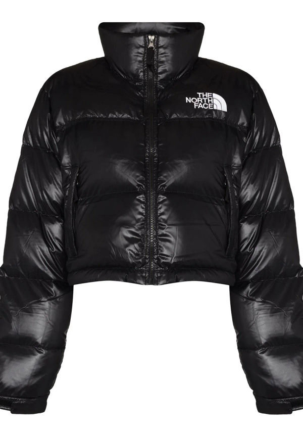 The north face puffer jacka hot sale