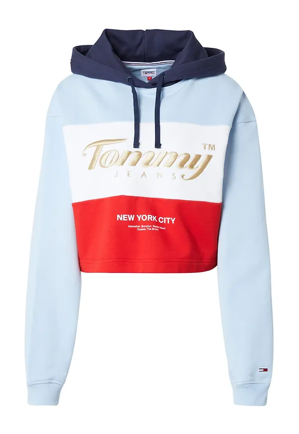 Tommy Jeans Sweatshirt marinblå / ljusblå / guld / röd