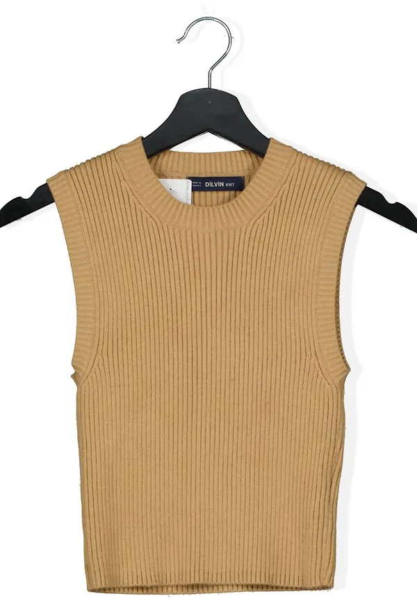 Top from Dilvin, size XS