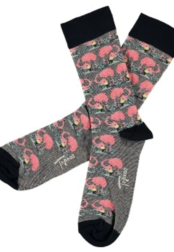 Topeco Strumpor 2P Men Cotton Birdie Sock Blå/Rosa Strl 41/45 Herr