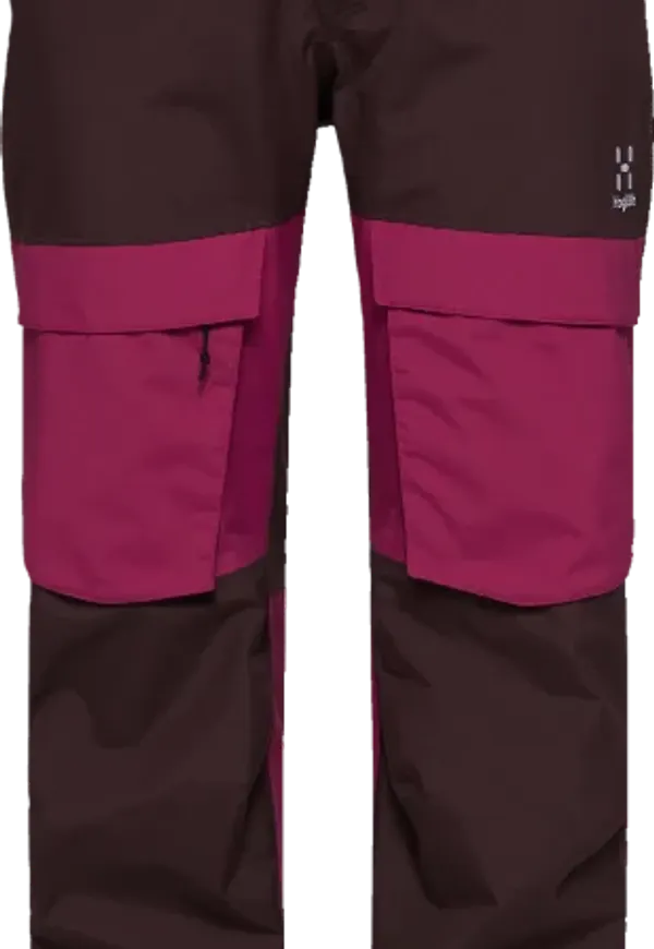 Women's Elation Gore-Tex Pant