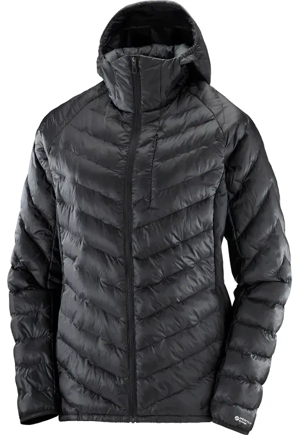 Women's Outline Primaloft Hoody
