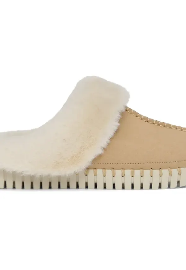 Women's Slippers